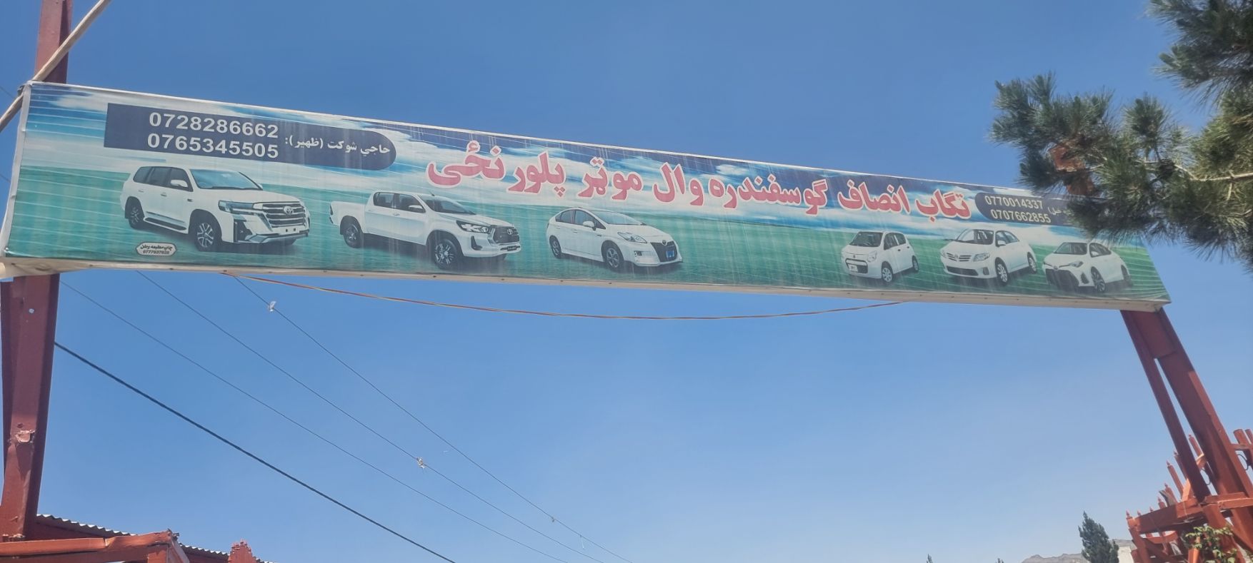 car dealer