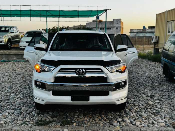 Toyota 4-Runner 2011 photo 1