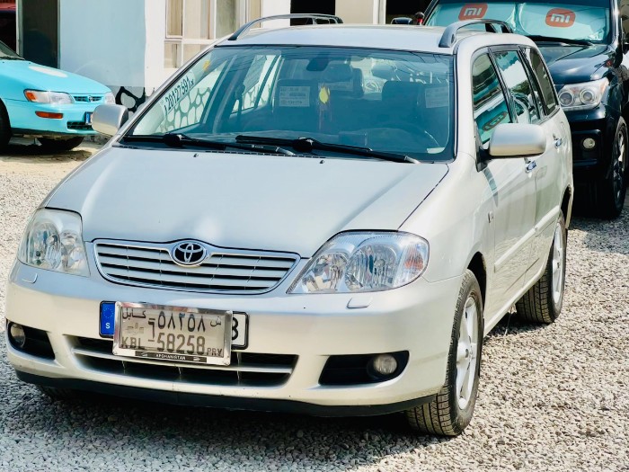 Toyota Corolla Fielder 2007 photo 1
